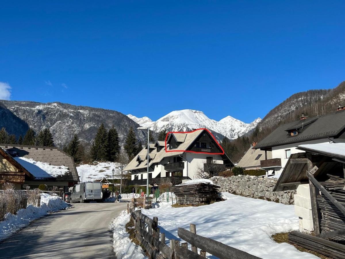 Gloria Holiday - Apartment Bohinj Exterior foto